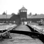 La strada dell'incontro fraterno con Israele passa per Auschwitz 